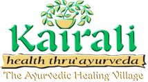 Kairali Ayurvedic Health Care, Palakkad